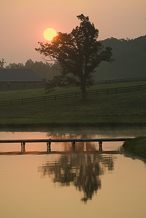 Early Sun in Stanardsville, VA